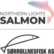 Logo northern lights salmon og sorrollnesfisk as 21