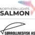 Logo northern lights salmon og sorrollnesfisk as 21