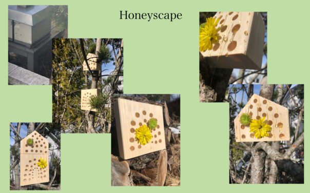 Bilde Honeyscape