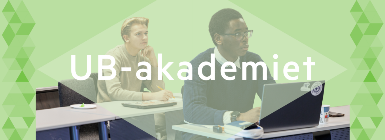UB akademiet header tekst