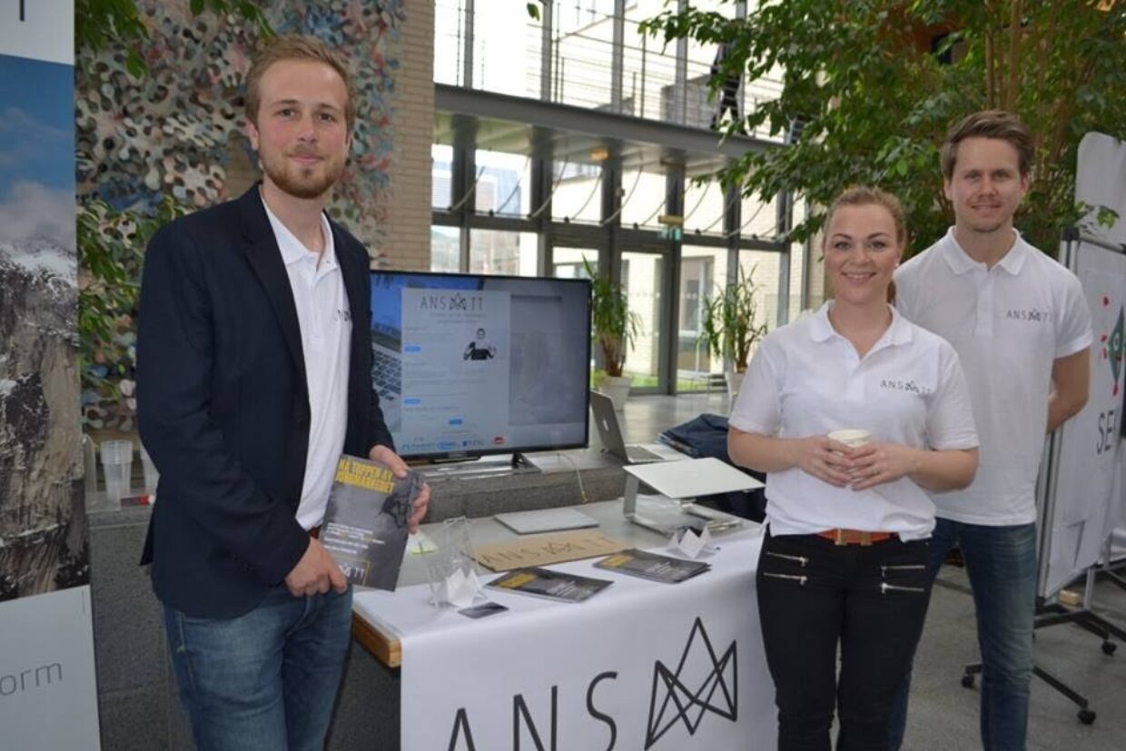 Ansatt norge