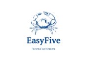 Logo Easy Five SB