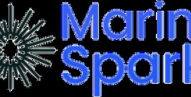 Marine Spark X logo removebg preview