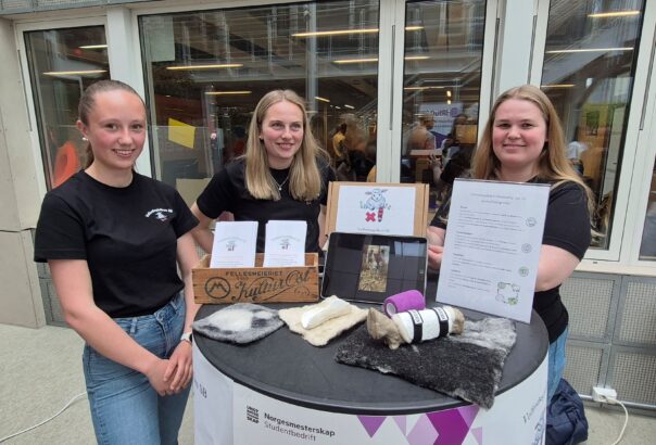 Velferdsspjelken pa NM