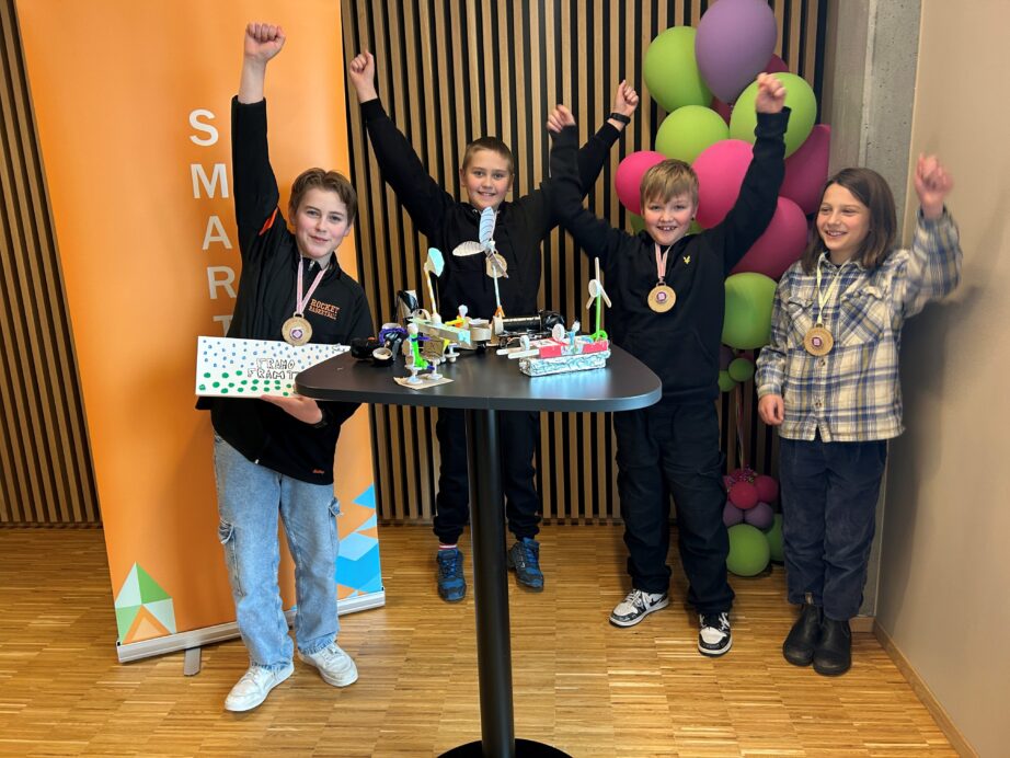 Alver Austebygd liten