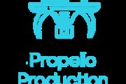 Logo Propello Producion liten 2 1