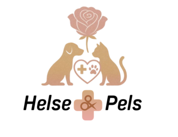 Skjermbilde 2026 03 11 kl 10 07 53