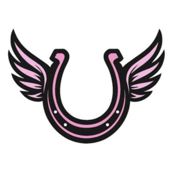 Skjermbilde 2026 03 11 kl 10 13 20