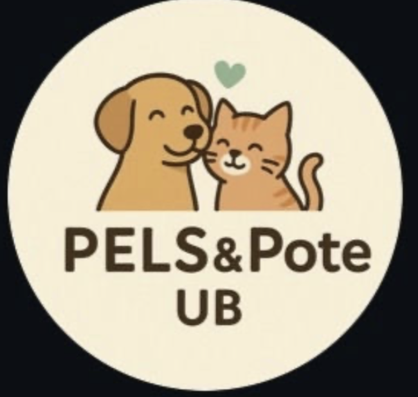 Skjermbilde 2026 03 11 kl 10 52 54