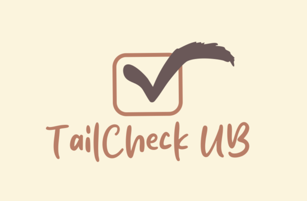 Skjermbilde 2026 03 13 kl 09 29 06