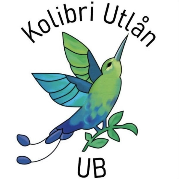 Skjermbilde 2026 03 13 kl 10 44 13