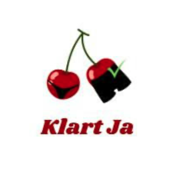 Skjermbilde 2026 03 13 kl 14 29 11