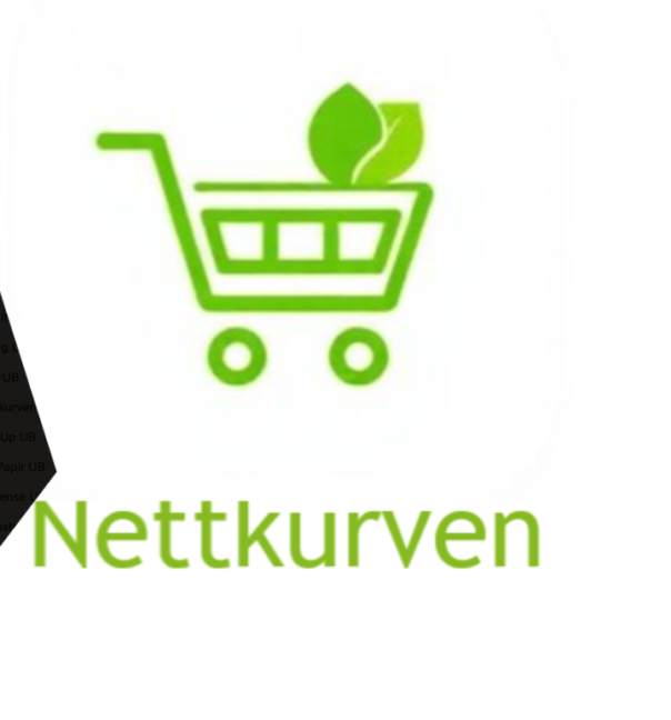 Skjermbilde 2026 03 16 kl 13 06 52