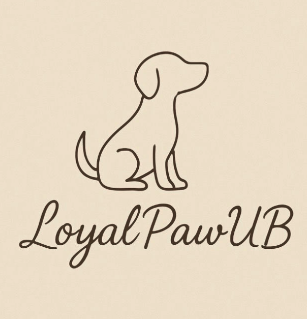 Skjermbilde 2026 03 16 kl 13 21 13