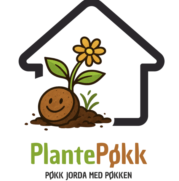 Skjermbilde 2026 03 16 kl 13 25 53