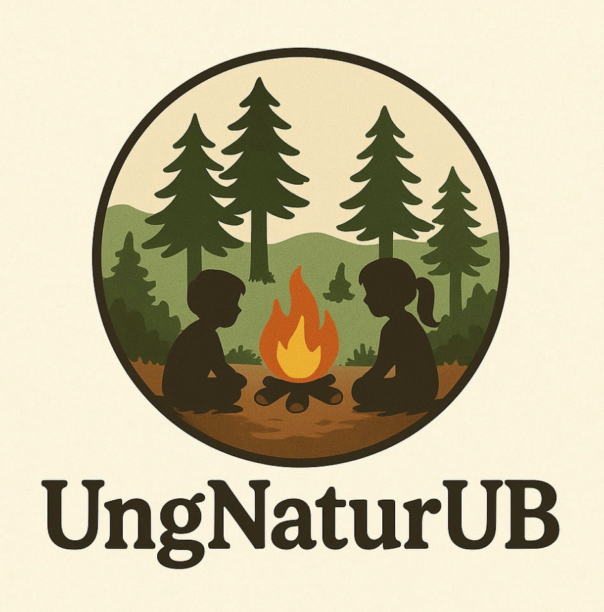 Skjermbilde 2026 03 16 kl 13 31 55